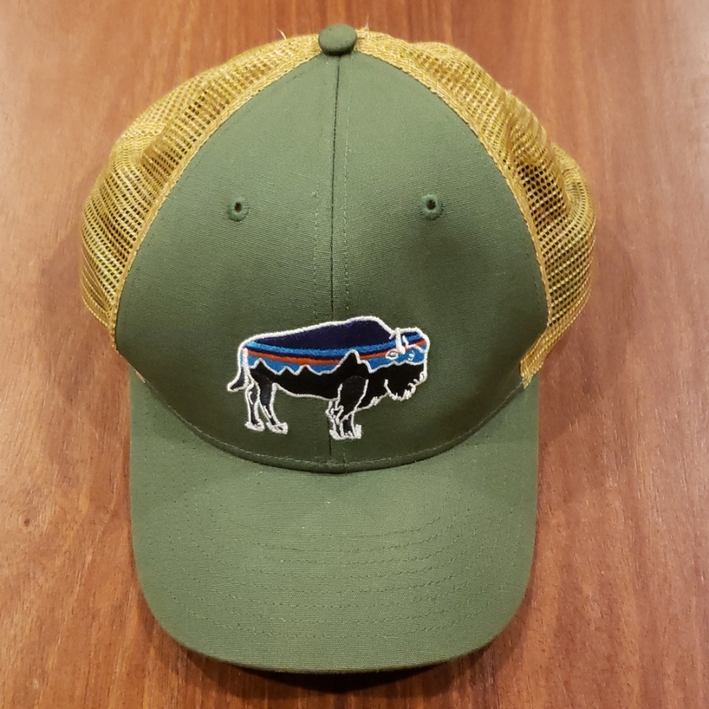 Patagonia baseball hat